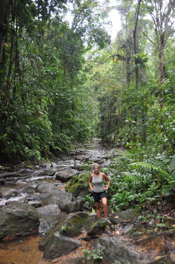 Rio no Parque Nacional de Matura, em Trinidad